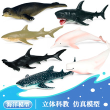 ��ͯܛ�z���溣������ģ�ʹ�����������L�{�L������������ߔ[��