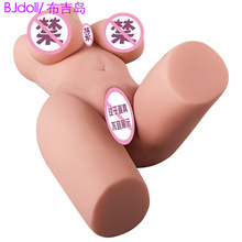 �gɫ���������ε�ģ��ƨ���°��팍�w����������ο����Ȥ����Ʒ