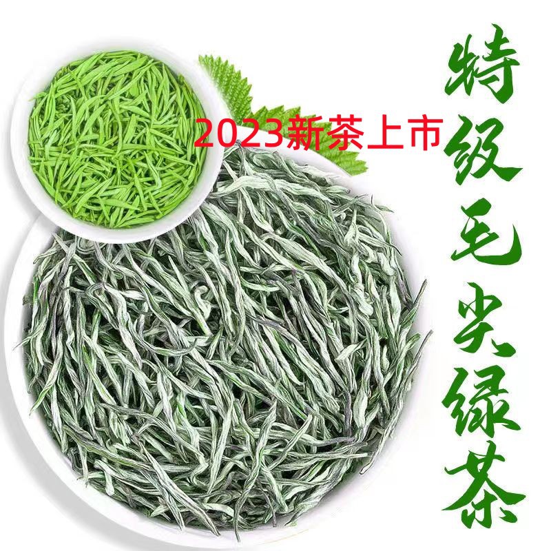 绿茶2025年新茶毛尖明前茶叶500克自产自销茶农浓香早春栗香茶