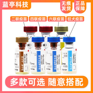 Ӣ��������Ȯ������Ȯ����С���A�����猙�����籾����b