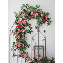 õ�廨�ټٻ������ٗl���{�ܵ��p�@�����b��ړ���픻��lֲ��