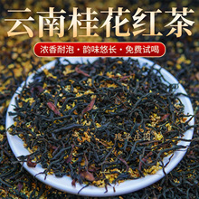 Ϲ𻨼tɢb500gl2025²͹𻨻ҰtSl