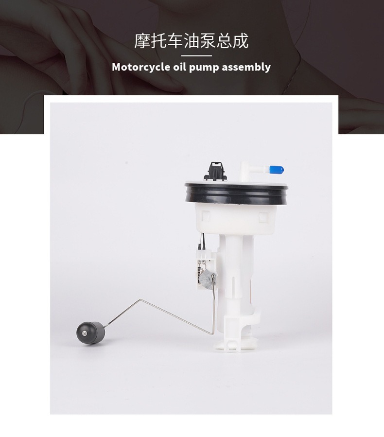 Source Manufacturer Spot 15100-31g03 Fuel Pump Assembly Suitable for Suzuki Lightning Delivery