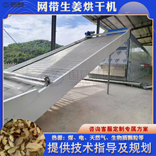 生姜烘干机烧颗粒 沙姜小姜黄干姜干燥机 生姜清洗切片烘干生产线
