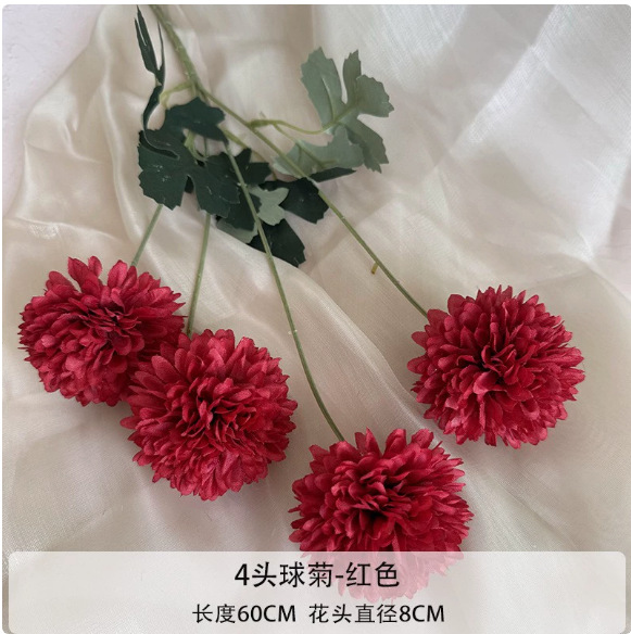 4개의 머리 공 국화