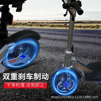 Small Electric Scooter, Qatlanan elektrik skuterlər