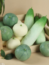 ��������ģ������̱�ʯ����ϼ�ˮ��ģ��װ�ΰڼ��׶��̾�