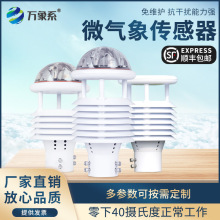微型气象仪农业防爆风速风向温湿度传感器室外环境监测小型气象站