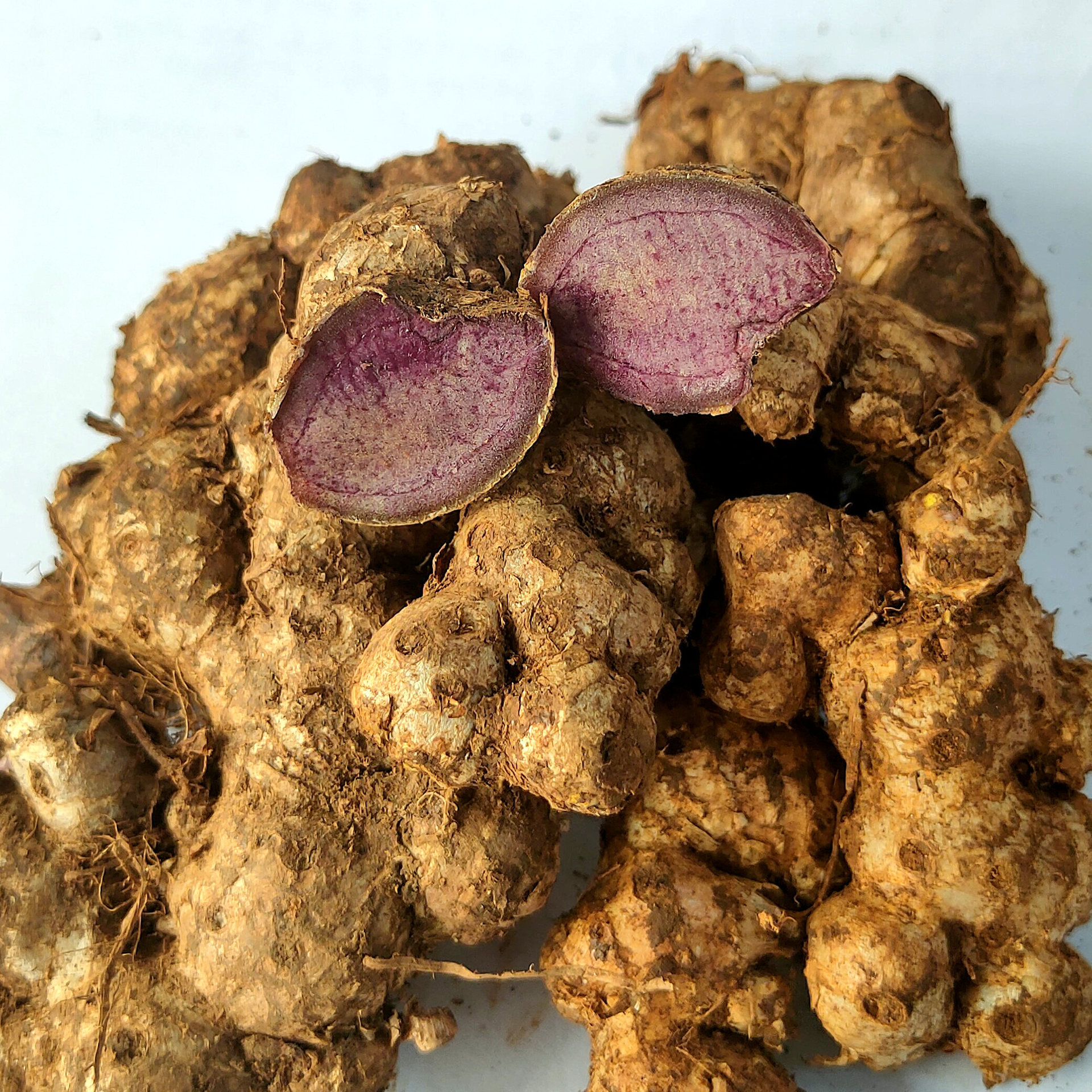 微信图片_20241226150129