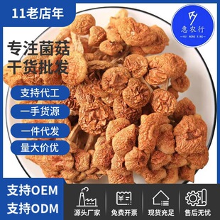 �����x�������خa���ӹ���؛ɢ�b���l ����Ģ �������鹽��؛