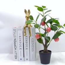 ����ˮ���O���Gֲ����С�������Ә���Ҙ���Ә�â����[��