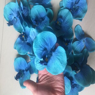 �ߙn���滨�����m���DIY�b��b����ػ�ñ���b�Ʒ�ٻ����̖