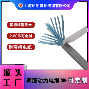 European Standard Power Cord Production and Wholesale Servo Cable Power Line Flame Retardant Flexible Support Customized Servo Cable