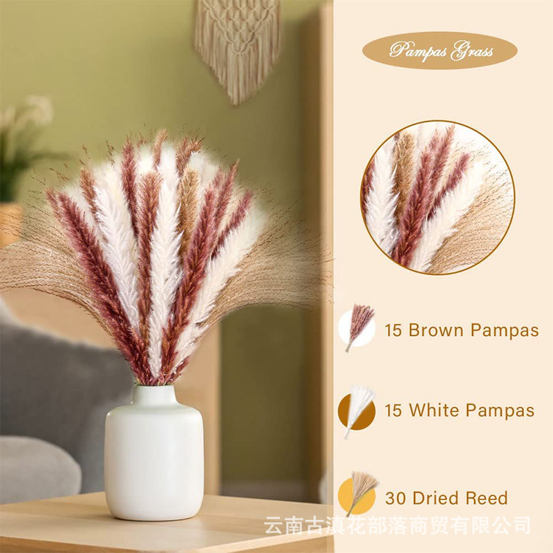 60 (상자 포장 포함)