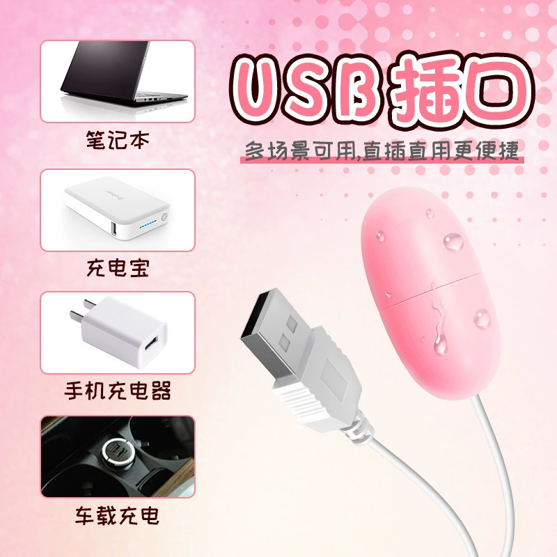 Vibrating egg Laile USB, strong vibration, direct plug-in single egg for women