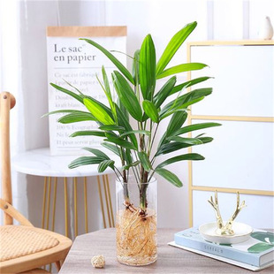 ���F��ˮ��ֲ���҃Ⱥ��B�͏d������ؔ��լ��ɽ��������ˮ���ӾGֲ