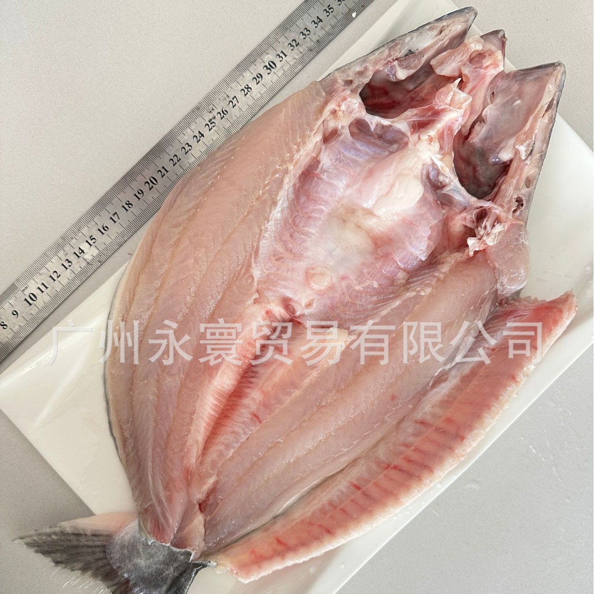 2024-06-05 08:32:03.jpg