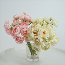 С���·���¶ɏ�����ҾӲ����b[�����ﻨ��c�ٻ����s�zӰ����