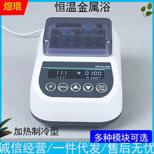 恒温金属浴群安干式加热器试管孵育器小型混匀振荡器实验室PCR