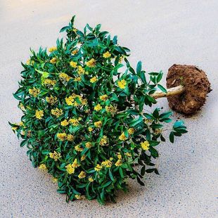 һ�����l�𻨘����ļ����������Ժ��B����ͺ��҃���ͥԺ�����̨