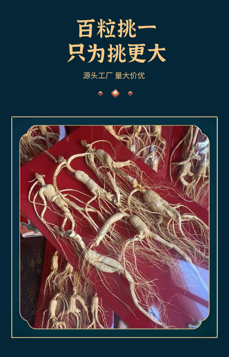 Wild-Simulated Ginseng Slightly Imperfect Roots 100g Dried Sliced for Cooking and Decoction quality and texture
