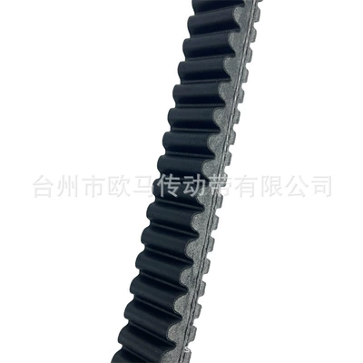 Transmission Belt, Belt