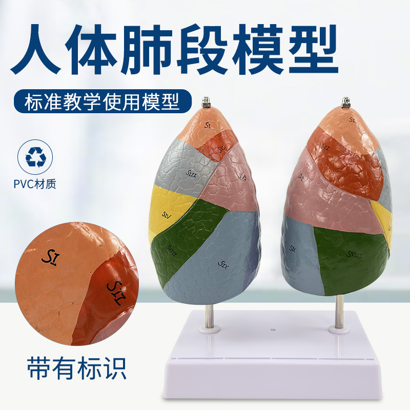 ɫ�ַζ�ģ�� �����ģ�� ��ɫ������ �ν��� ����ϵͳ �ζη���