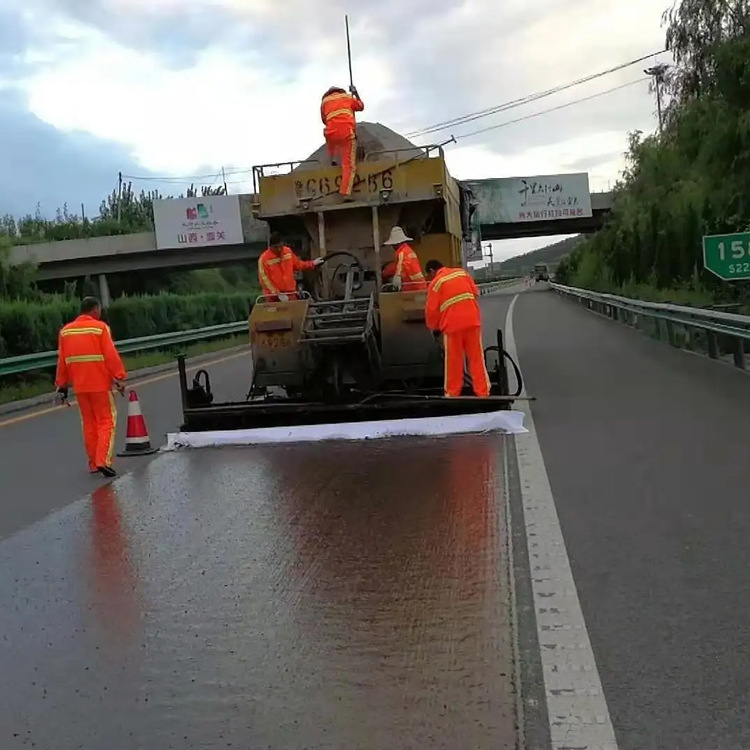 道路桥用防水 APP高聚物改性沥青防水涂料 标准施工流程品质保证