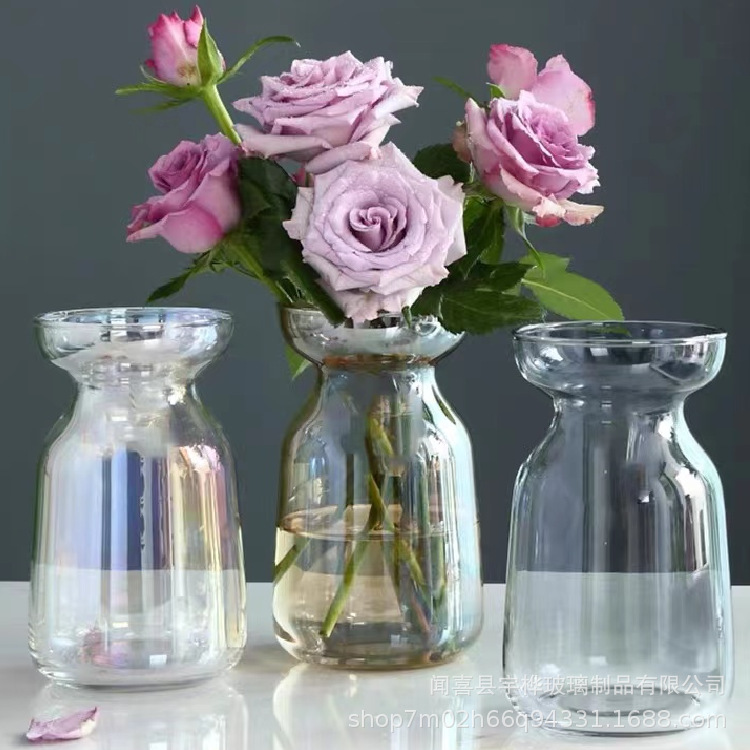 Bulk Aurora Chromatic Glass Vase Transparent Flower Insert Water Cultivation Simple Desk Small Fresh Glass Bottle Tabletop Ornament