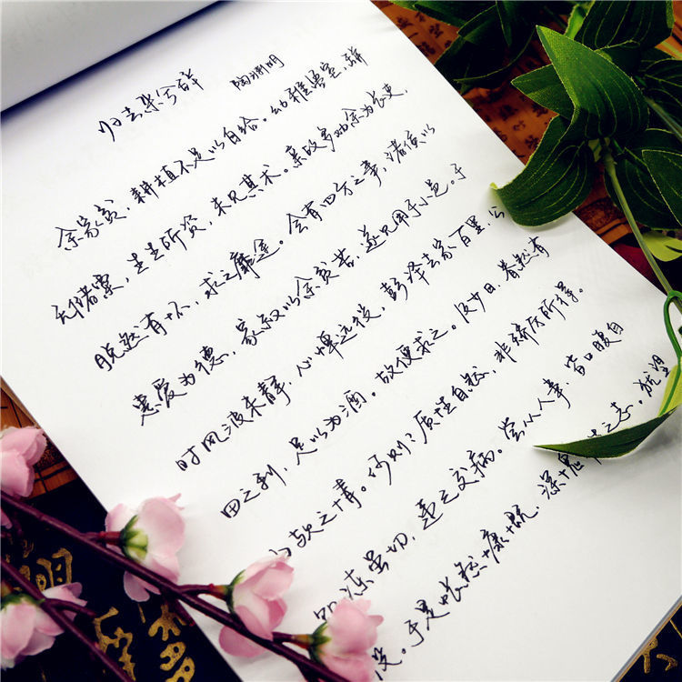 bacab929-567b-403a-81ba-dbaf93c08511.jpe