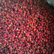 Ұɽ�t��ɼ�ɹ���ό�������ɼ����ˮ�ݾ��B������мt����؛