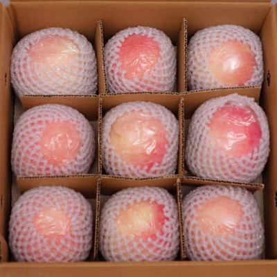 Shanxi Rock sugar Red Heart Fuji Apple Now pick Now send pregnant woman fruit 5/9 Jin FCL wholesale