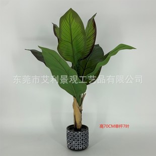 ˽ ͏db˽Gֲ Ꭷֲ٘辰