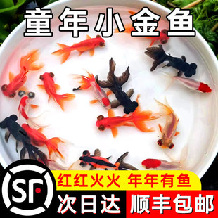��β���~���~�^�p�~С�͵�ˮ��ˮ�~���\���^���~�m���\����