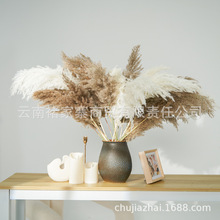 С�J���滨�ɻ�������c�b��ĵ��߲������l��ɫС���m����˹��