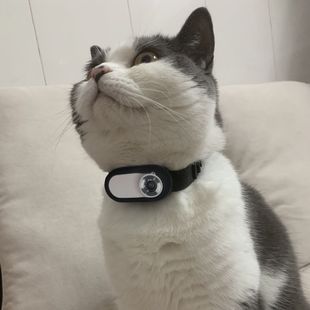 �๦���������z�ג첱����Ĵָ���C�T��֧�܌���ֱ��؈���һҕ��