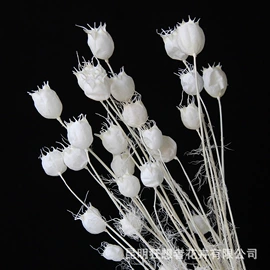 鲜花花艺制品;干花;仿真绿植