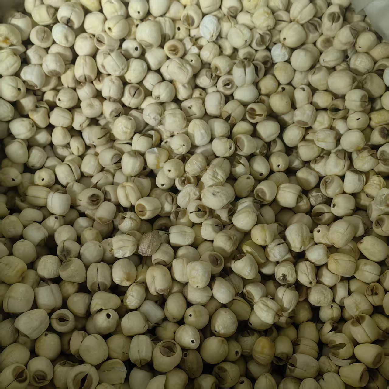 Dried Lotus Seeds Lian Zi 500g Coreless White Lotus Seed Kernels from Hunan for Soup Congee and Herbal Cooking quality and texture