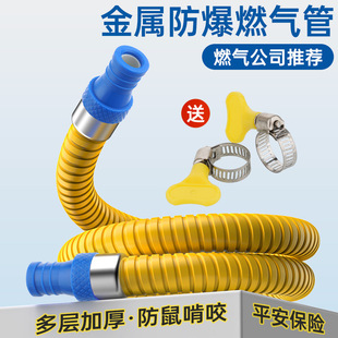 Household Gas Metal Hose Thickeneded Explosion-Proof Liquefied Gas Natural Gas Special Armored Pipe Gas Stove Accessories