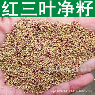 ��ƺ�N�� ���~�ݷN�� �t���~�� ܇�S�� �t���~�ݷN�� 1��=1��