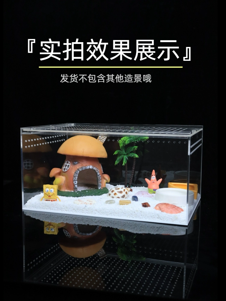 Хуаньцзю крабAvoid house large climbing pet tree holes to avoid ornaments, fish, shrimp, coconut shell horn frog to avoid landscape