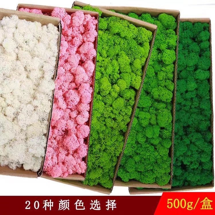Eternal Moss wholesale Moss grade a 500g reindeer moss green flowers diy flowers Eternal Flowers wholesale
