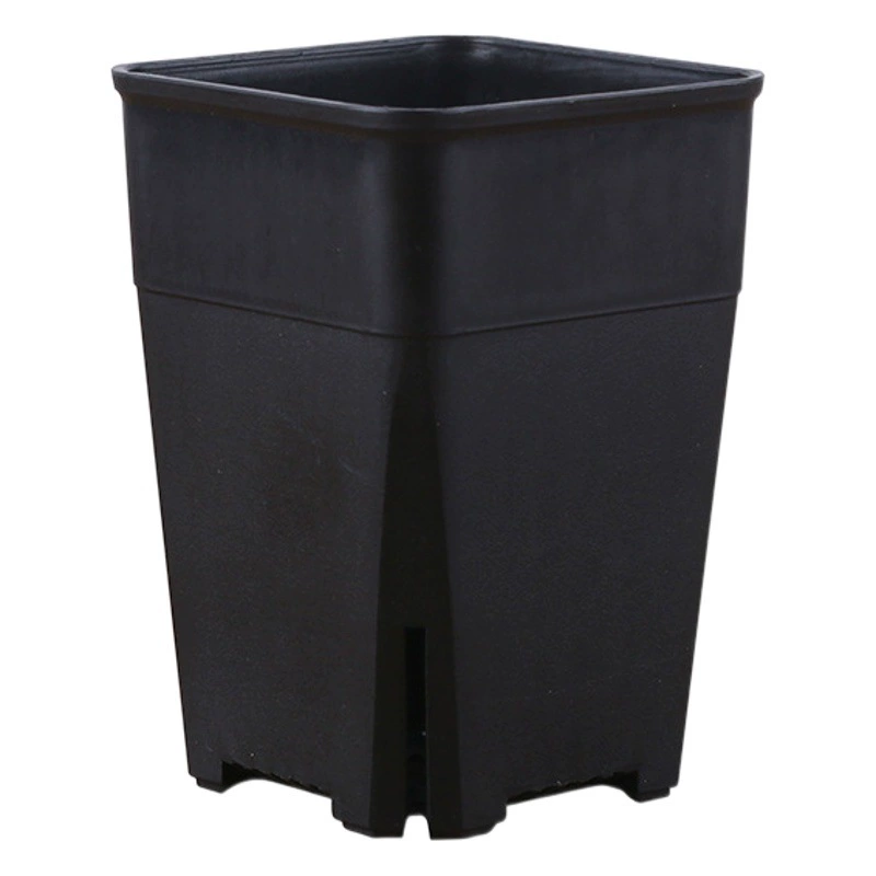 Квадратный горшок Вьентьян Мясистый цветочный горшок Пластиковое боковое отверстие для утечки Двенадцать рулонов Мясистый старый ворс Дышащий 2022 Новый маленький цветочный горшок