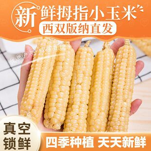 ��ϰ�{����ĴָСŴ������Ŵ�����r�������͵�֬5���i�r