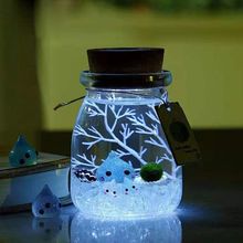 海藻球微景观diy生态瓶水培藻迷你植物室内微观桌面瓶许愿瓶