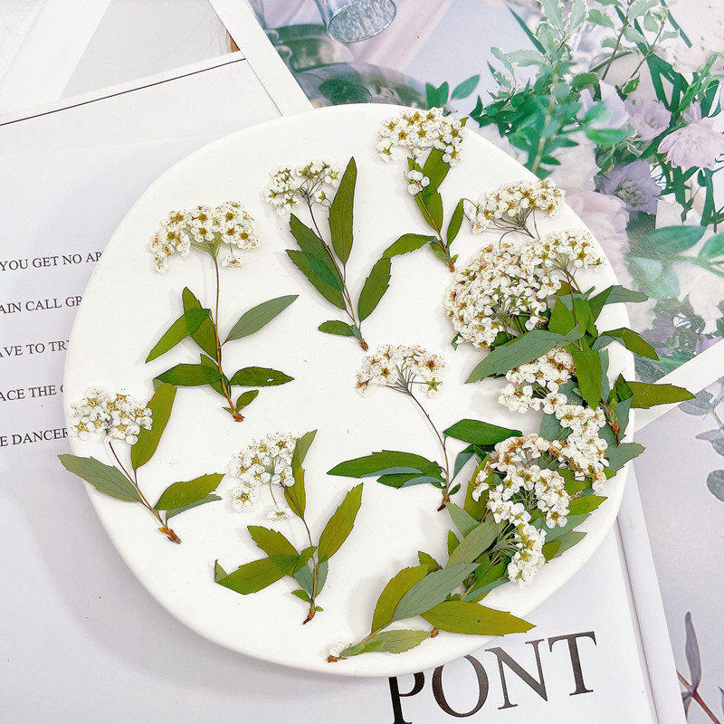 微信图片_20220918005504