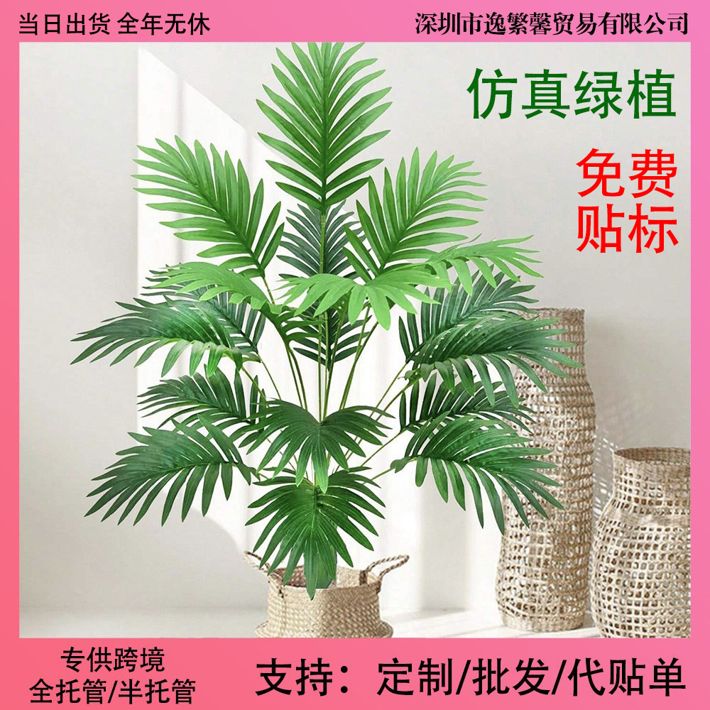 Simulación transfronteriza de plantas verdes y plantas de sol de cola dispersa - adecuado para bodas interiores y exteriores de alta gama, jardines de hoteles y decoración de patios