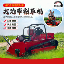 ڱbظݙC ӹ80cmݙCͻӳ