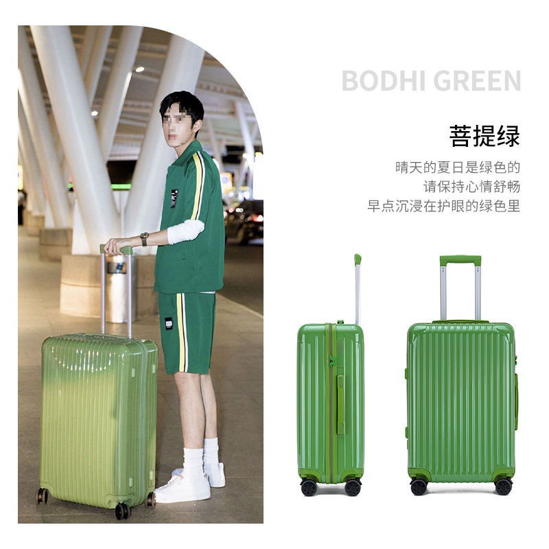 아보카도 그린 101 지퍼 스타일♜★