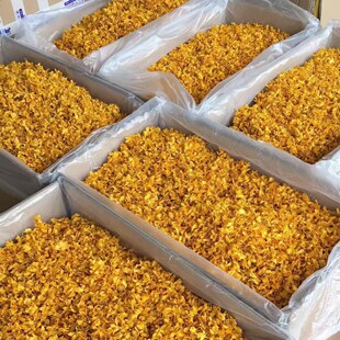 ���ʯ�����ɻ��B���ݲ��FƤ���F؛���l��ɽʯ����500��ɢ�b���]